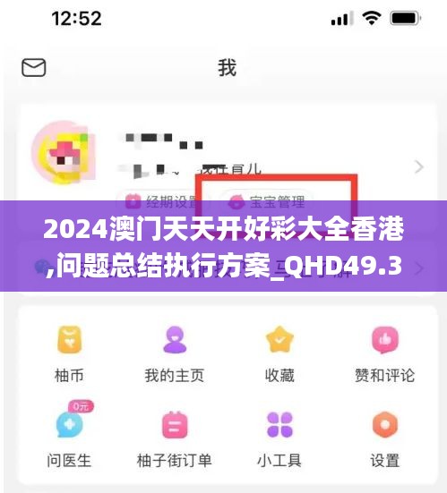 2024澳门天天开好彩大全香港,问题总结执行方案_QHD49.331-6