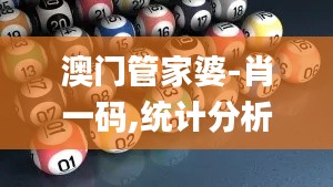 澳门管家婆-肖一码,统计分析解释定义_S46.143-9