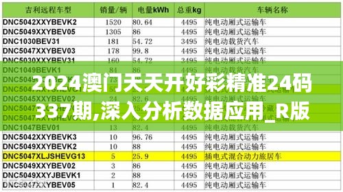 2024澳门天天开好彩精准24码337期,深入分析数据应用_R版67.927-8