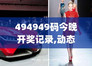 494949码今晚开奖记录,动态说明分析_FT4.816-1