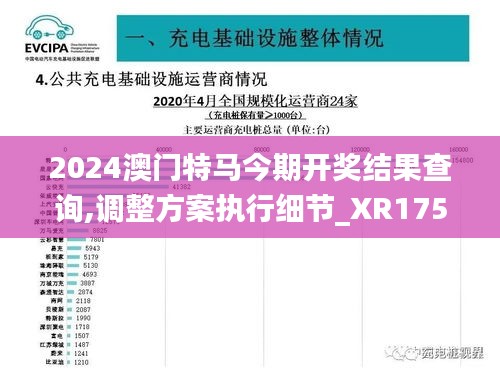 2024澳门特马今期开奖结果查询,调整方案执行细节_XR175.125-9