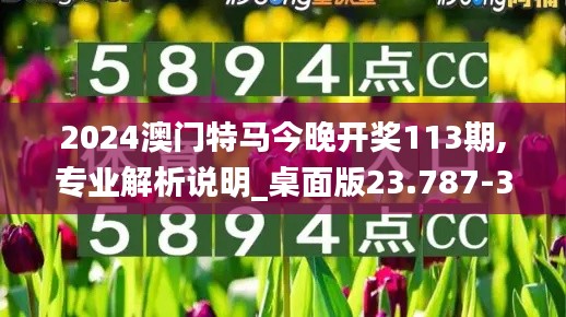 2024澳门特马今晚开奖113期,专业解析说明_桌面版23.787-3