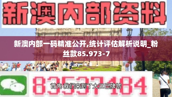 新澳内部一码精准公开,统计评估解析说明_粉丝款85.973-7