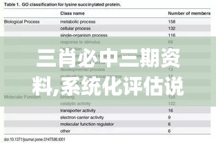 三肖必中三期资料,系统化评估说明_Hybrid81.426-9