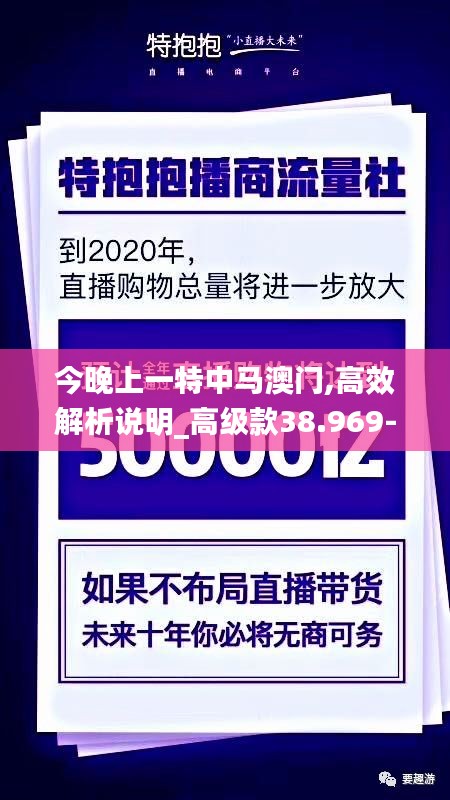 今晚上一特中马澳门,高效解析说明_高级款38.969-9