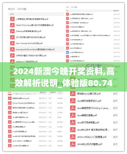 2024新澳今晚开奖资料,高效解析说明_体验版80.741-7