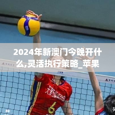 2024年新澳门今晚开什么,灵活执行策略_苹果款159.618-8