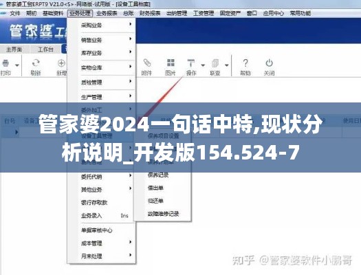 管家婆2024一句话中特,现状分析说明_开发版154.524-7