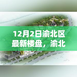 渝北区最新楼盘探访全攻略，12月2日更新深度解析