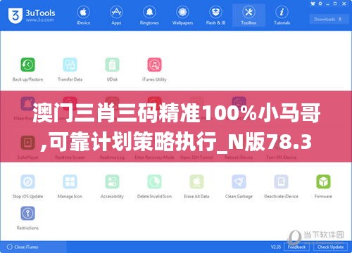 澳门三肖三码精准100%小马哥,可靠计划策略执行_N版78.377-3