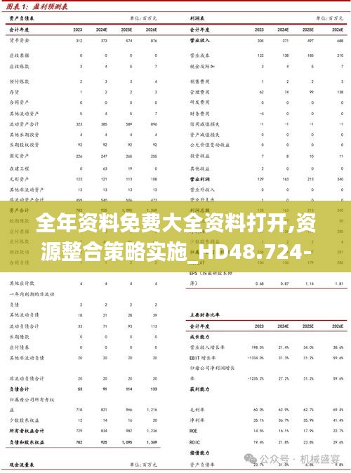 全年资料免费大全资料打开,资源整合策略实施_HD48.724-8