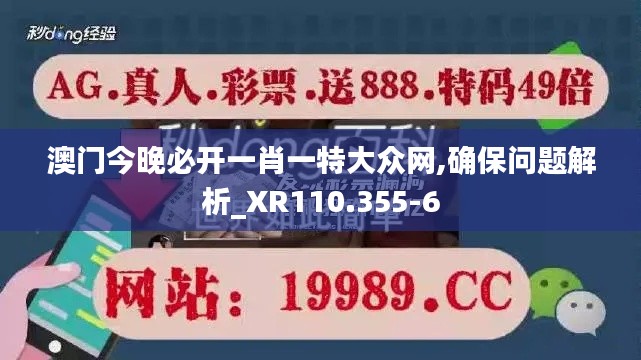 澳门今晚必开一肖一特大众网,确保问题解析_XR110.355-6