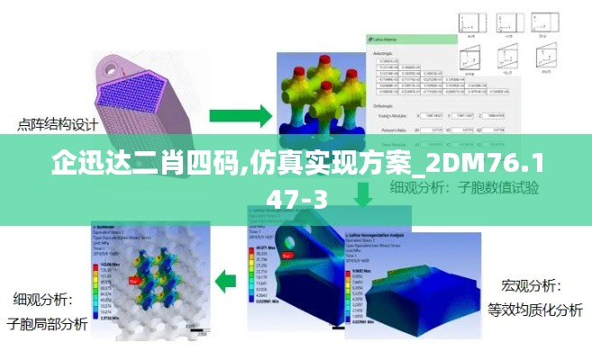 企迅达二肖四码,仿真实现方案_2DM76.147-3