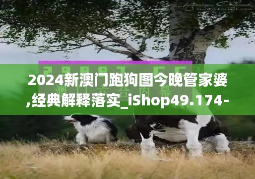 2024新澳门跑狗图今晚管家婆,经典解释落实_iShop49.174-2