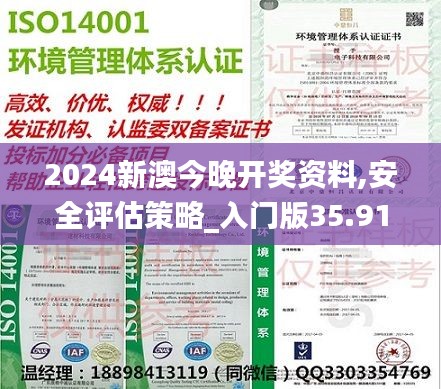 2024新澳今晚开奖资料,安全评估策略_入门版35.918-9