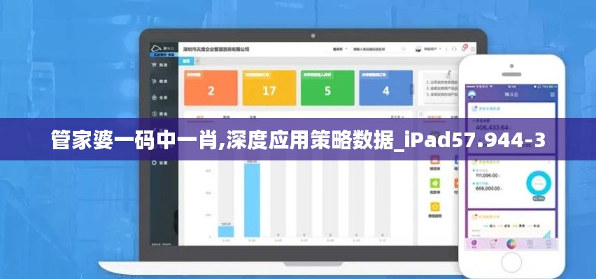 管家婆一码中一肖,深度应用策略数据_iPad57.944-3