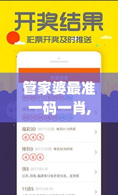 管家婆最准一码一肖,决策资料解析说明_Prime6.611-1