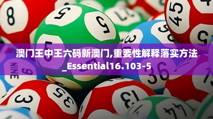 澳门王中王六码新澳门,重要性解释落实方法_Essential16.103-5