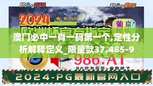 澳门必中一肖一码第一个,定性分析解释定义_限量款37.485-9