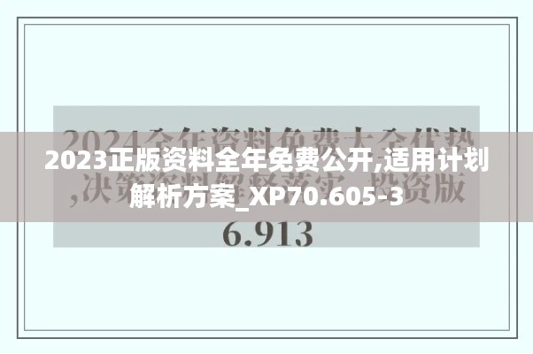 2023正版资料全年免费公开,适用计划解析方案_XP70.605-3