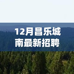 昌乐城南12月最新招聘大揭秘，众多岗位等你来挑战