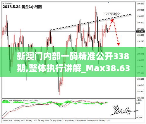 新澳门内部一码精准公开338期,整体执行讲解_Max38.630-5