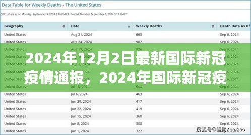 最新国际新冠疫情通报详解，逐步了解最新动态（2024年12月）