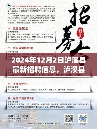 泸溪县最新招聘信息亮点解析，2024年12月概览