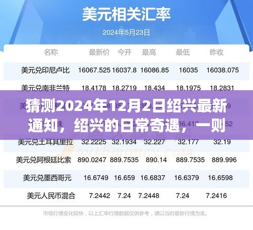 绍兴日常奇遇，爱与陪伴的温馨故事预告（2024年最新通知）