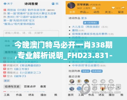 今晚澳门特马必开一肖338期,专业解析说明_FHD23.831-3