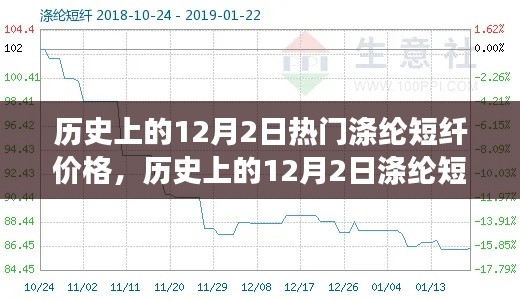 深度解析，历史上的涤纶短纤价格走势与洞察——聚焦12月2日市场观点