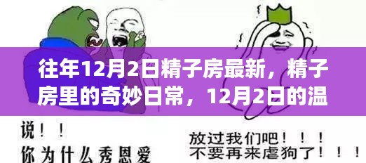 12月2日精子房的奇妙日常与温馨故事