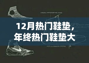 年终热门鞋垫大盘点，选购指南与深度解析