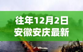 往年12月2日安徽安庆最新抗洪，安徽安庆抗洪策略深度解析，历年12月2日的新视角与反思