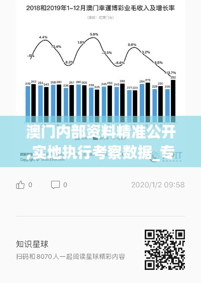 澳门内部资料精准公开,实地执行考察数据_专属版84.160-9