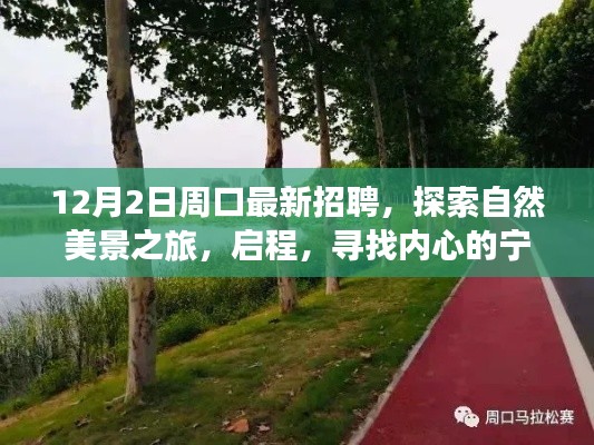 周口最新招聘与探索自然美景之旅，寻找内心的宁静与奇遇