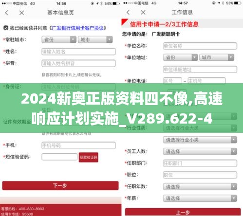 2024新奥正版资料四不像,高速响应计划实施_V289.622-4