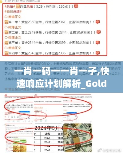 一肖一码一一肖一子,快速响应计划解析_Gold70.483-2