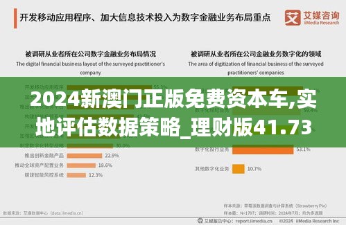 2024新澳门正版免费资本车,实地评估数据策略_理财版41.738-4