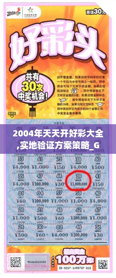 2004年天天开好彩大全,实地验证方案策略_Galaxy36.931-2