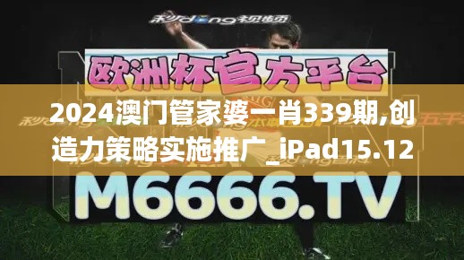 2024澳门管家婆一肖339期,创造力策略实施推广_iPad15.126-1