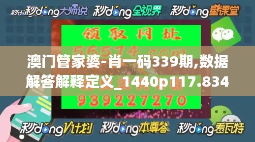 澳门管家婆-肖一码339期,数据解答解释定义_1440p117.834-2