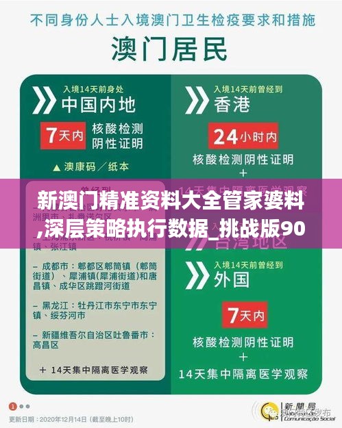 新澳门精准资料大全管家婆料,深层策略执行数据_挑战版90.994-6