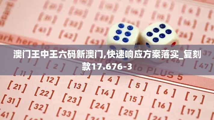 澳门王中王六码新澳门,快速响应方案落实_复刻款17.676-3