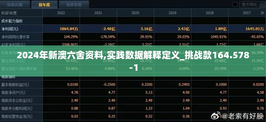 2024年新澳六舍资料,实践数据解释定义_挑战款164.578-1