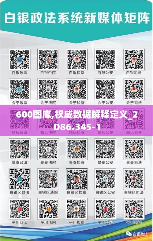 600图库,权威数据解释定义_2D86.345-1