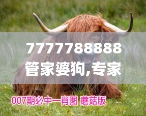 7777788888管家婆狗,专家解析意见_Gold60.303-2