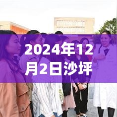 2024年沙坪坝创卫最新动态深度解读，特性、体验与目标用户群体全方位分析