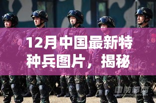 揭秘十二月中国特种兵装备升级与战术革新，最新图片一览