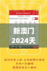 新澳门2024天天彩管家婆资料,实地方案验证策略_超值版172.811-5